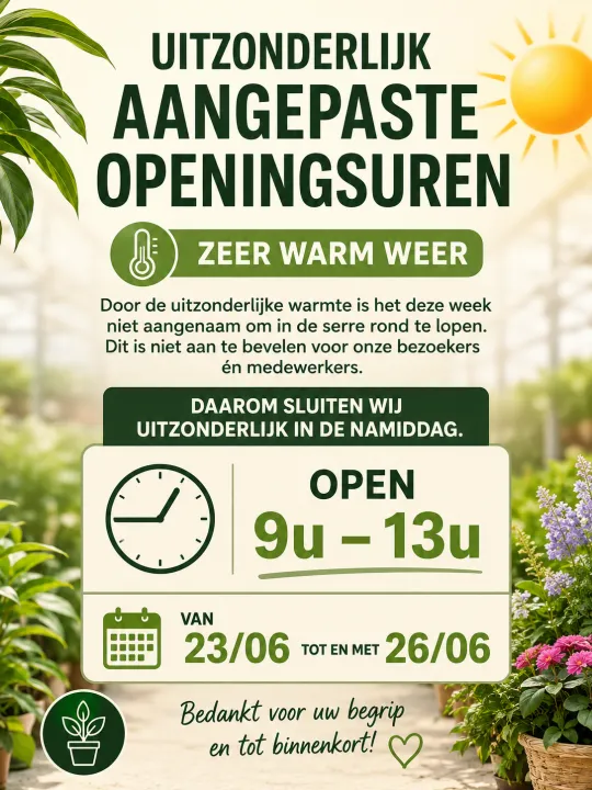 tuin