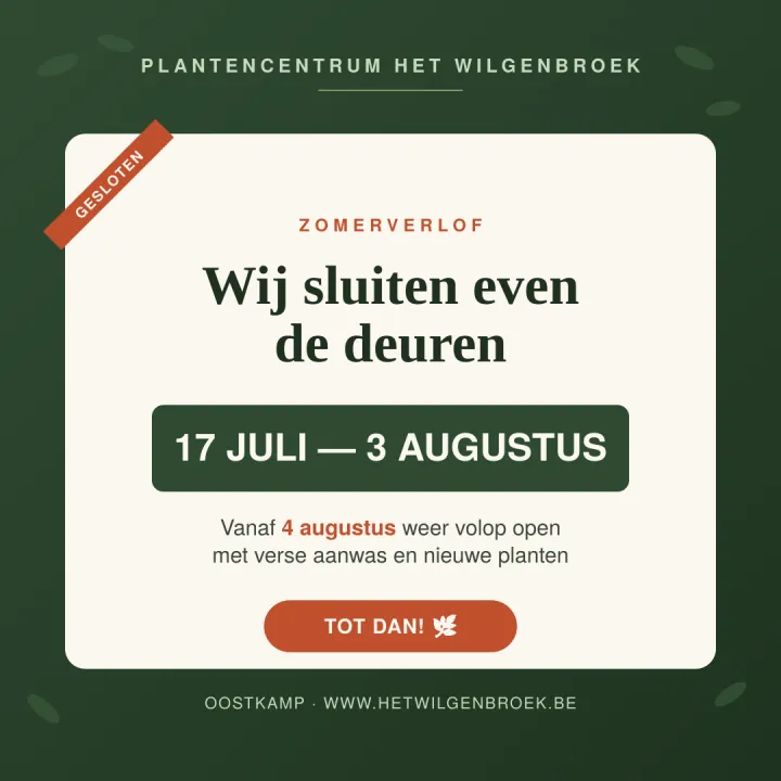 zomerverlof