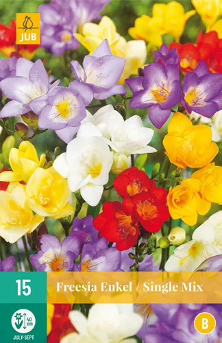Freesia Enkel Mix