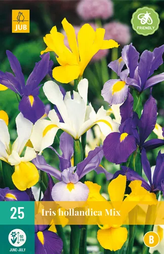 Iris Hollandica Mix