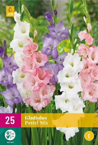 X 25 GLADIOLUS PASTEL MIX 12/14