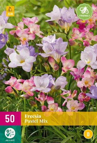 Freesia pastel mix