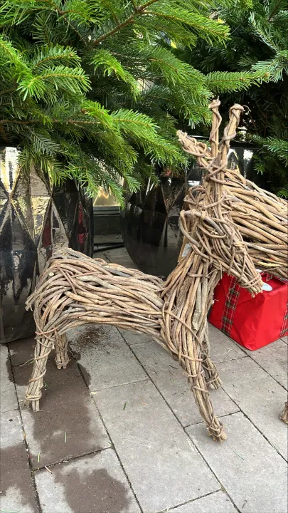 Reindeer Vine Natural