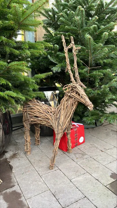 Reindeer Vine Natural