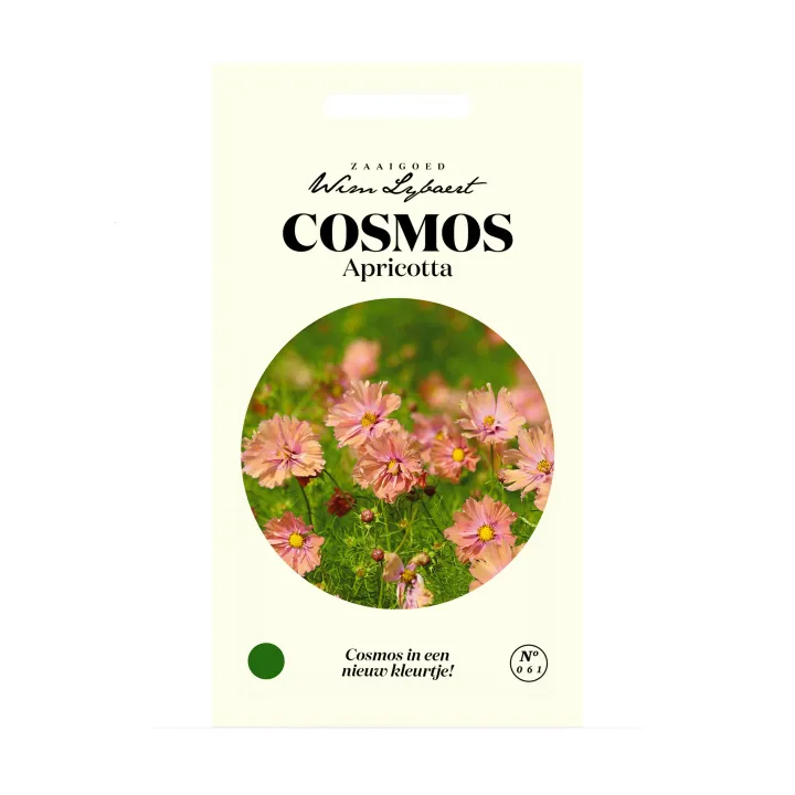 WL COSMOS APRICOTTA