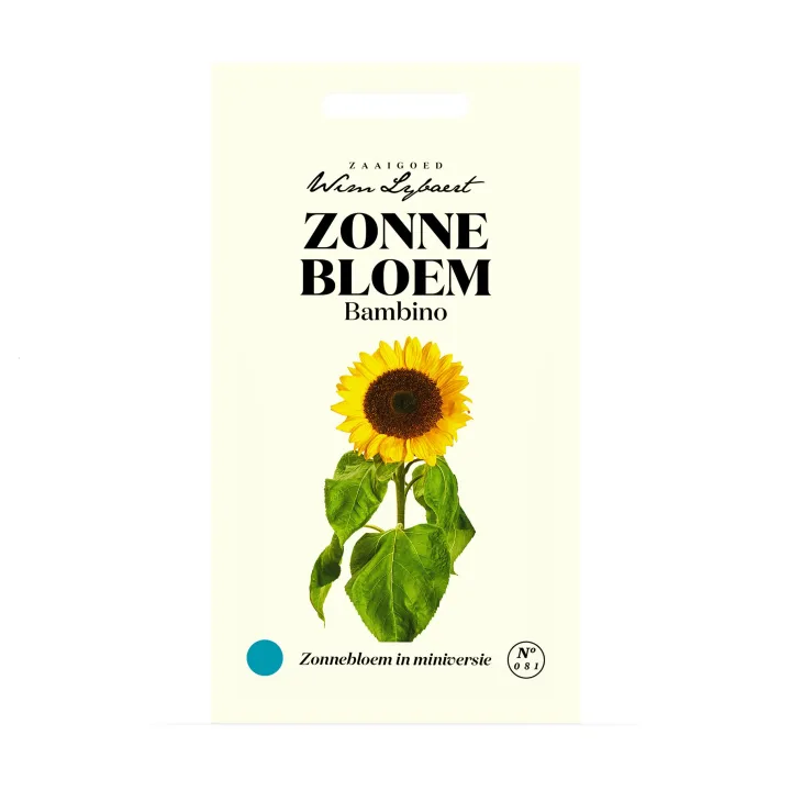 WL ZONNEBLOEM BAMBINO