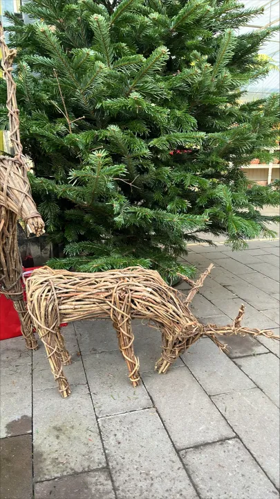 Reindeer Vine natural