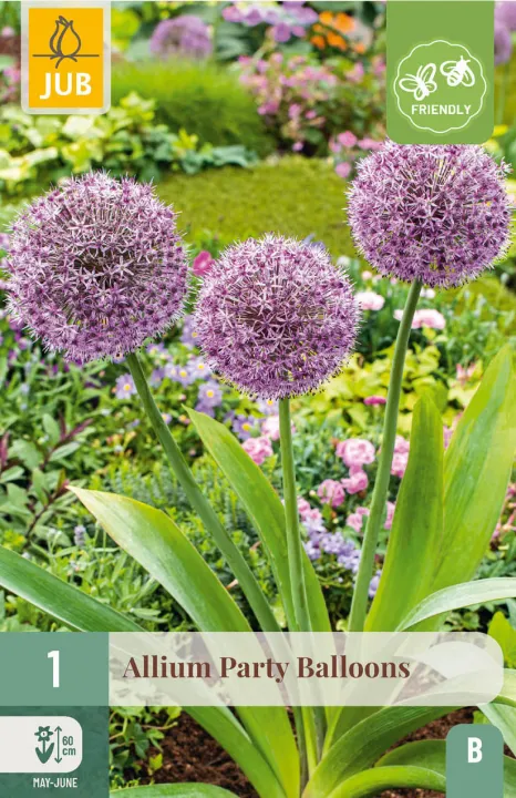 Allium 'Party Balloons'