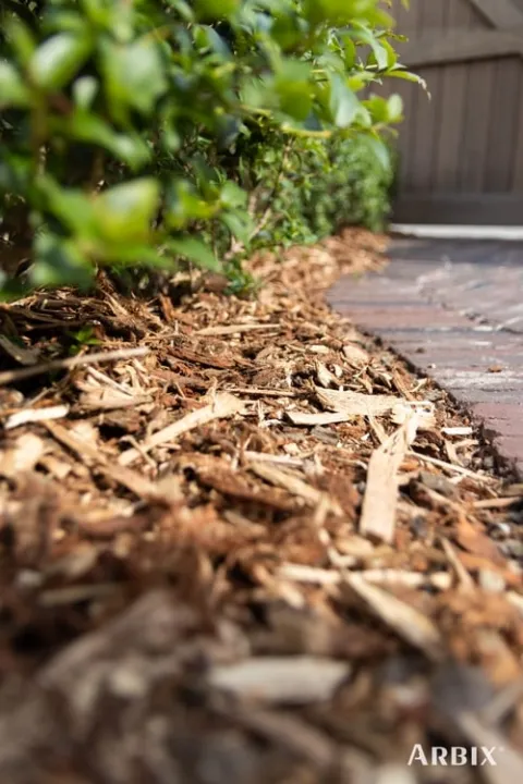 Arbix snippers STAMMIX KUBIEK