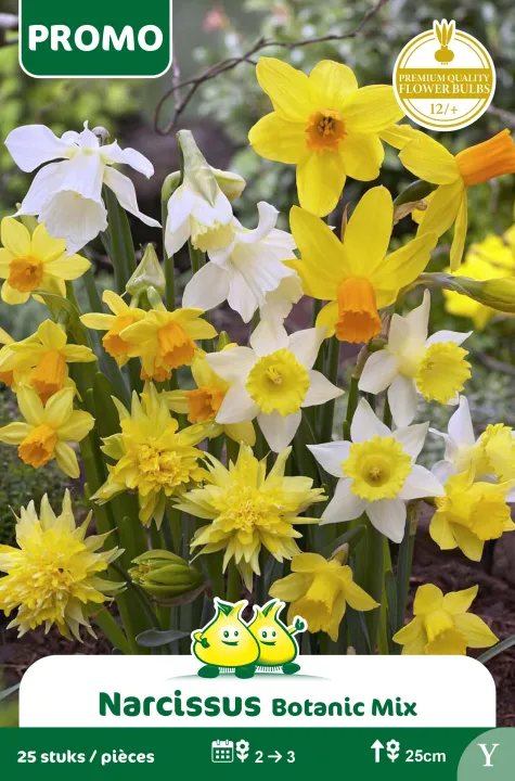 Narcis mix
