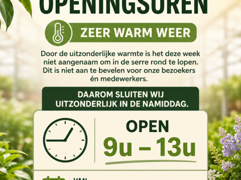 tuin