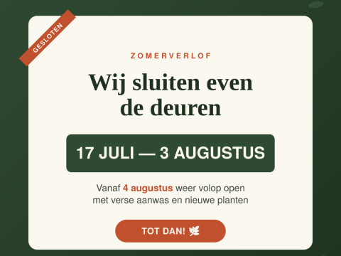 zomerverlof