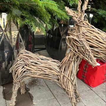 Reindeer Vine Natural