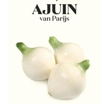 WL AJUIN VAN PARIJS