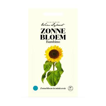WL ZONNEBLOEM BAMBINO