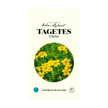 WL TAGETES CITRUS