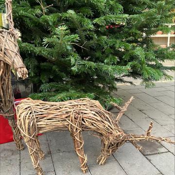 Reindeer Vine natural