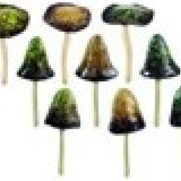 Display stekers paddenstoelen Bruin